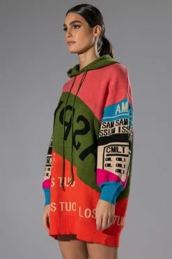 LOUD AND PROUD PULLOVER HOODED SWEATER DRESS